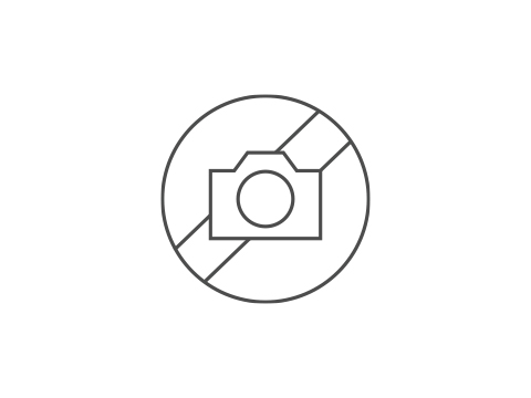 BETONVLECHTTANG 250MM 2-84-208
