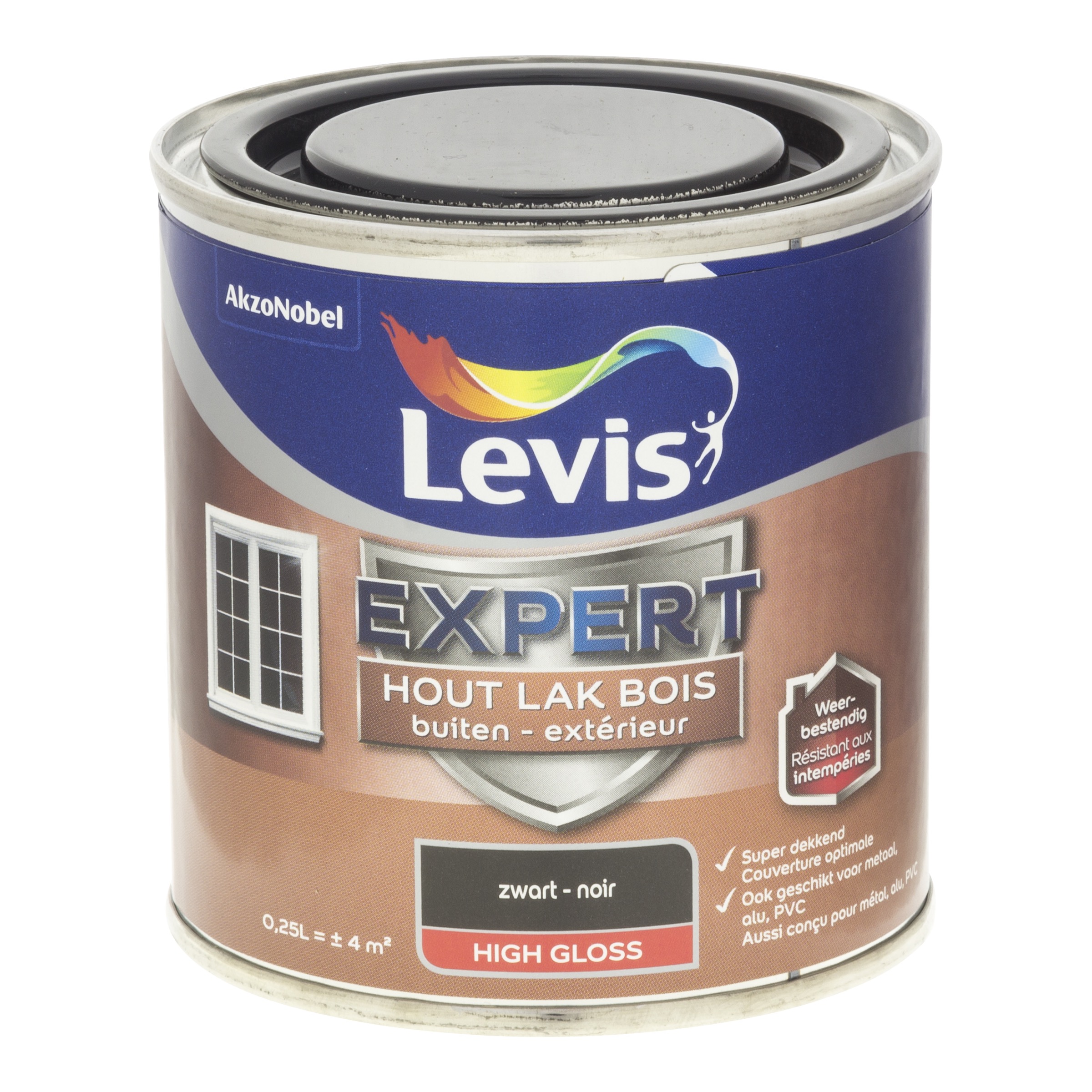 LAK EXPERT HOUT BUITEN HIGH GLOSS ZWART 250 ML