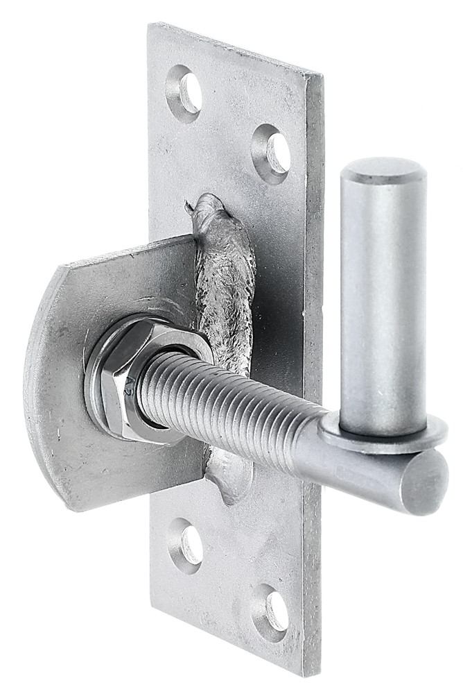 Plaatduim, RVS, M12, Ø13/40x100