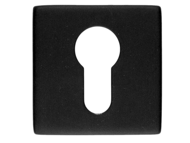 VIERKANTE CILINDERPLAAT RVS ZWART Ø50MM